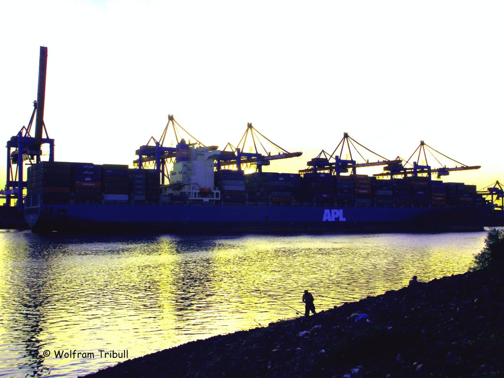 APL RUSSIA am 20.07.2010 bei Hamburg Hhe Container Terminal Altenwerder