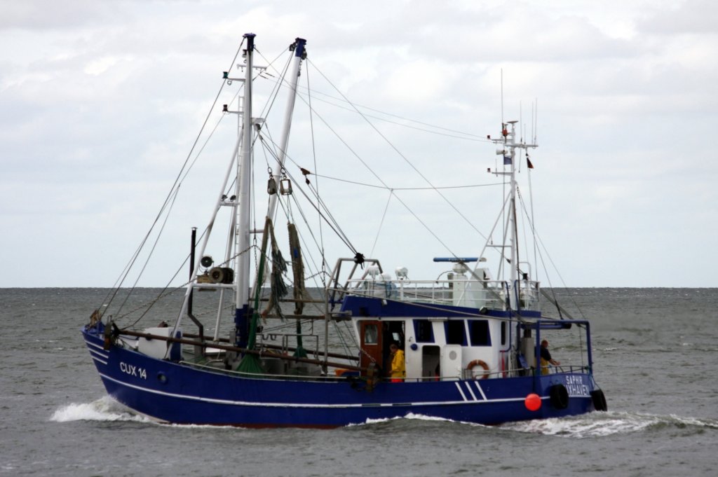 Der Krabbenkutter CUX 14 (Saphir) aufgenommen am 11.08.2009 bei Cuxhaven Hhe Seebderbrcke