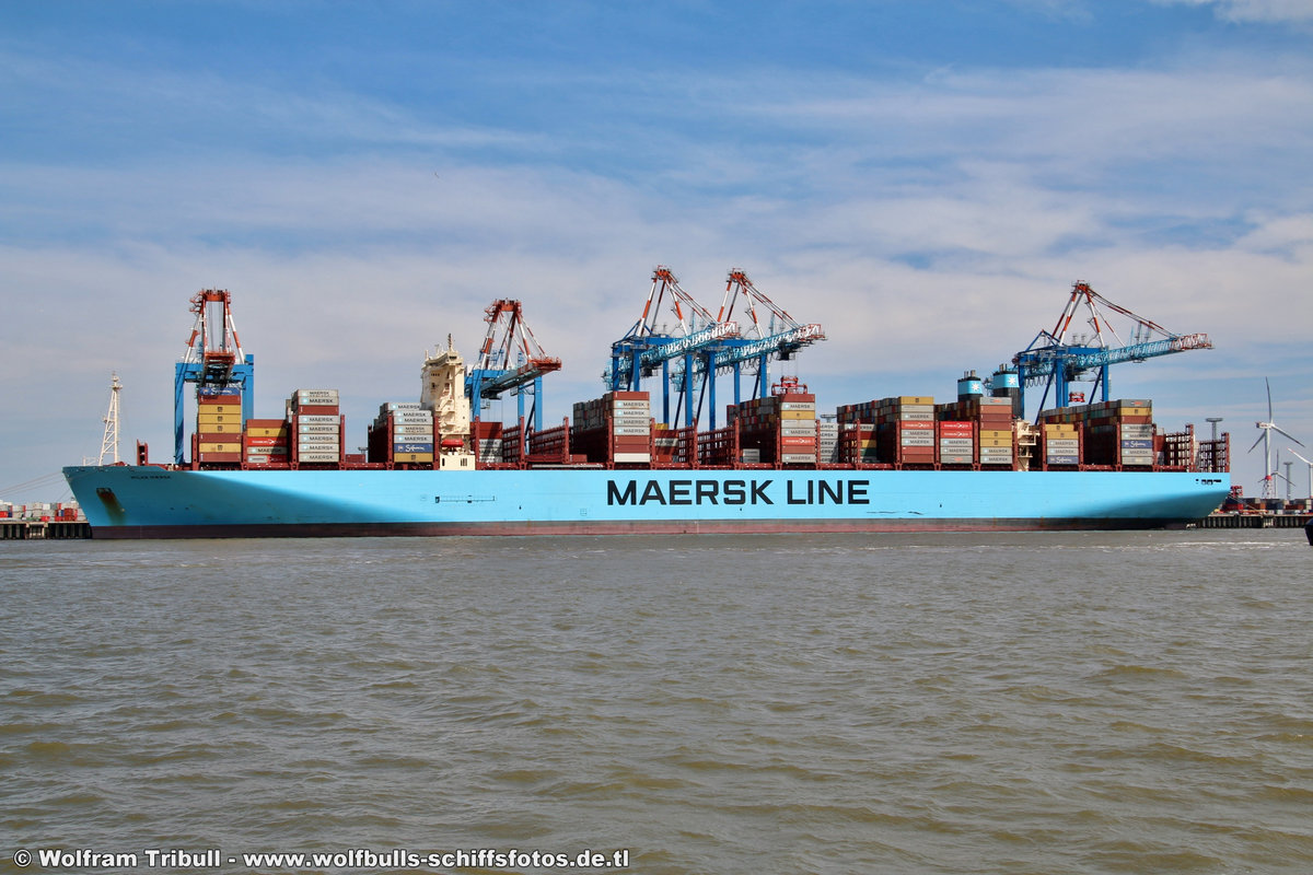 MILAN MAERSK am 29.07.2018 bei Bremerhaven Höhe Container Terminal NTB