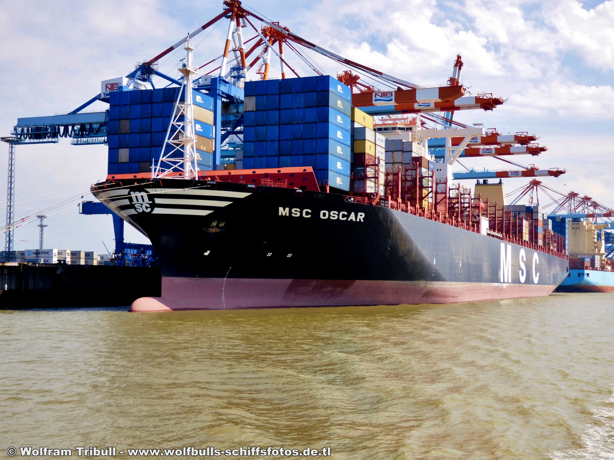 MSC OSCAR aufgenommen am 07.08.2015 bei Bremerhaven Höhe Container Terminal NTB
