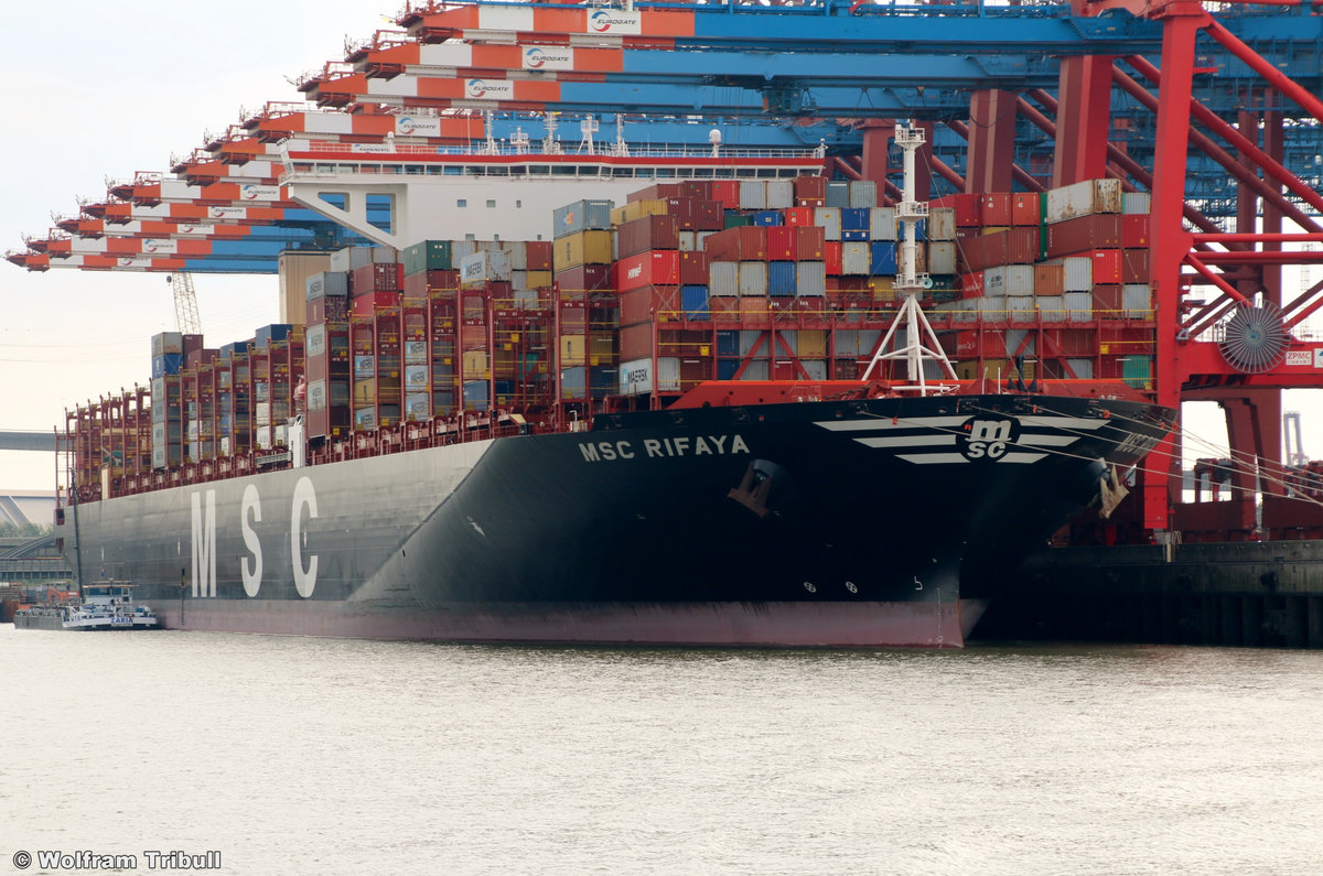 MSC RIFAYA am 27.09.2018 bei Hamburg Höhe Container Terminal Eurogate