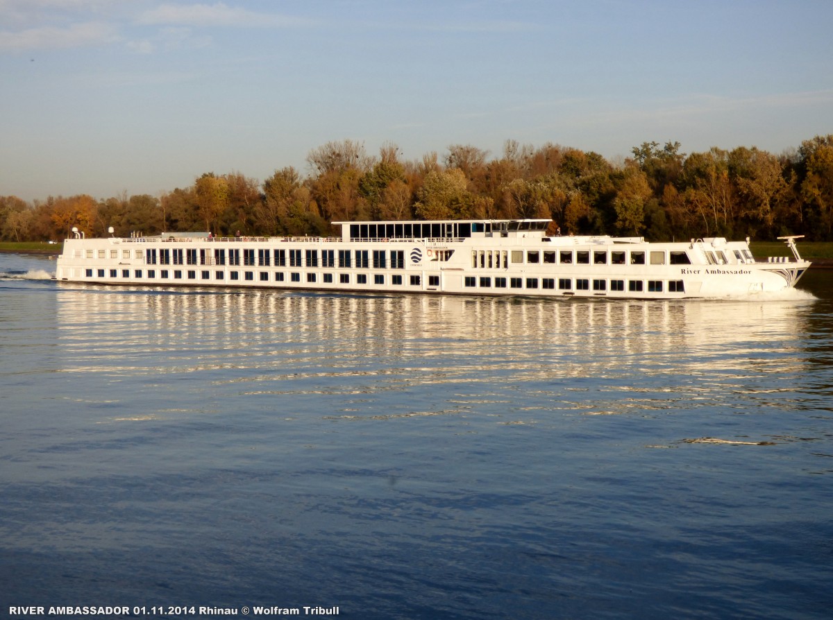 RIVER AMBASSADOR aufgenommen am 01.11.2014 auf dem Rhein bei Rhinau (Frankreich)
