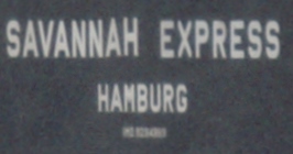 SAVANNAH EXPRESS am 21. Juli 2008 bei Cuxhaven Höhe Steubenhöft