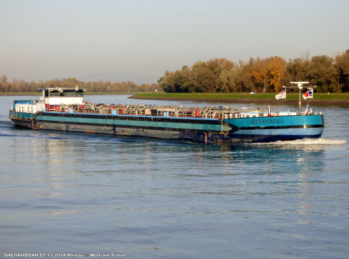 SHENANDOAH aufgenommen am 01.11.2014 auf dem Rhein bei Rhinau (Frankreich)