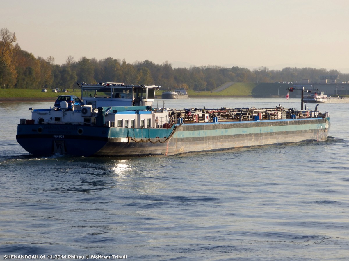 SHENANDOAH aufgenommen am 01.11.2014 auf dem Rhein bei Rhinau (Frankreich)
