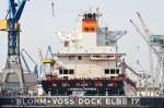 LIVERPOOL EXPRESS am 18.08.2012 bei Hamburg Hhe Blohm + Voss Dock Elbe 17