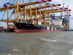 MSC BANU aufgenommen am 10.08.2014 bei Bremerhaven Hhe Container Terminal Eurogate