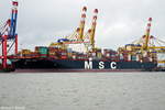 msc-ingy-9755945/691546/msc-ingy-aufgenommen-am-25072017-bei MSC INGY aufgenommen am 25.07.2017 bei Bremerhaven Höhe Container Terminal Eurogate