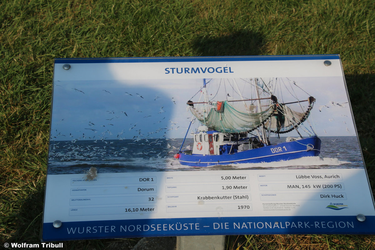 DOR 1 STURMVOGEL aufgenommen am 17.07.2018 im Hafen von Dorum-Neufeld