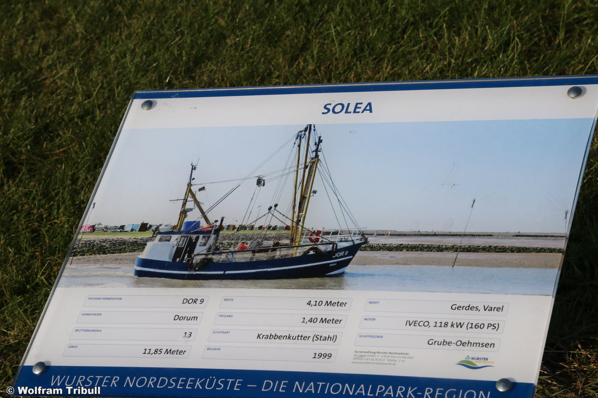 DOR 9 SOLEA aufgenommen am 17.07.2018 im Hafen von Dorum-Neufeld