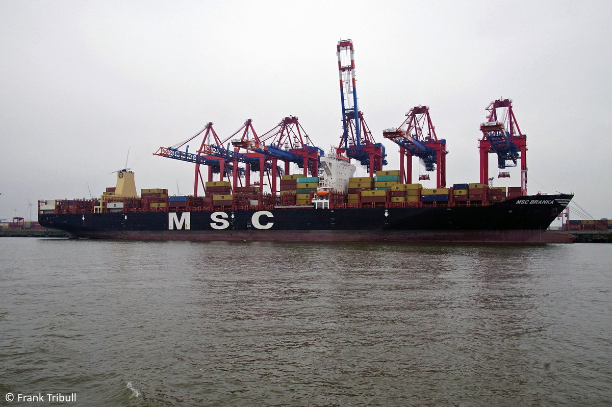 MSC BRANKA aufgenommen am 30. September 2017 bei Hamburg Höhe Container Terminal Eurogate