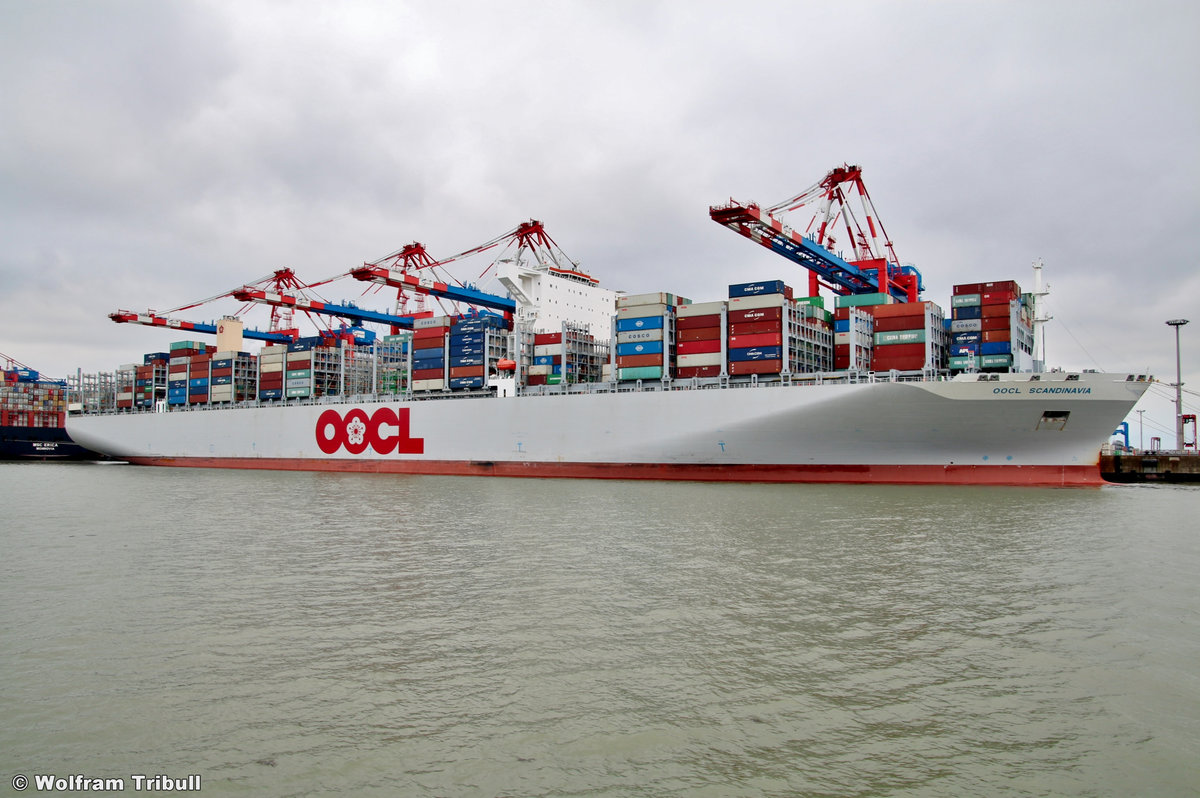 OOCL SCANDINAVIA am 29.07.2019 bei Wilhelmshaven Höhe Container Terminal Eurogate