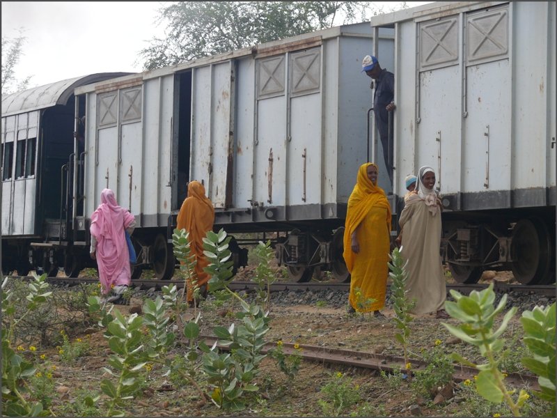 Der Bahndamm dient auch den Fussg�ngern. (30.10.2008)