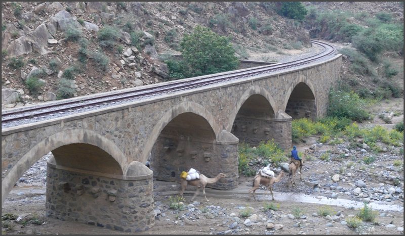 Der Beduine w�hlt den Weg unter der Br�cke, wohl wissend, dass in K�rze der Dampfzug hier vorbei f�hrt. (30.10.2008)