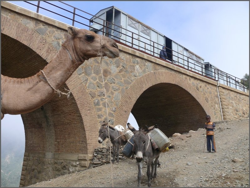 Die Bahn und die Lasttiere sind hier keine Konkurrenten. (01.11.2008)
