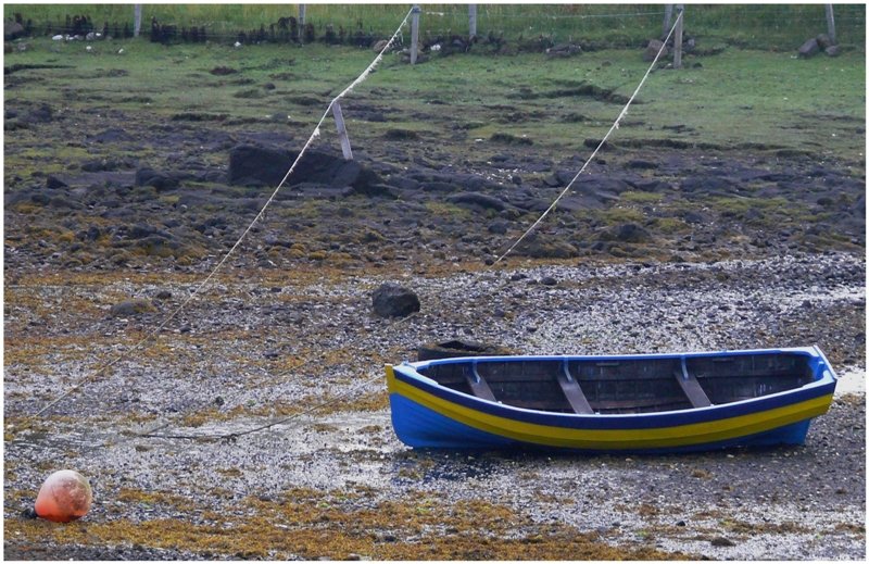 Ebbe in Dunvegan/Isle of Skye. (07.08.2008)