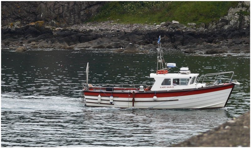 Eine  gaile Lady  bei derEinfahrt in den Hafen von Crail.(04.08.2008)