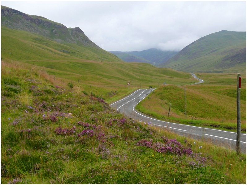 Erika, Nebel und Einsamkeit in den Grampian Mountains. (05.08.2008)