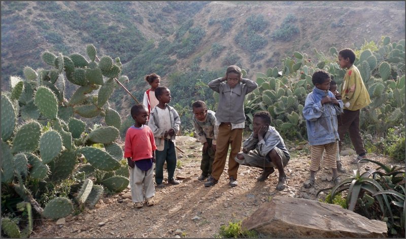 F�r Kinderohren muss der Pfiff einer Dampflok ohrenbet�ubend sein. (28.10.2008)