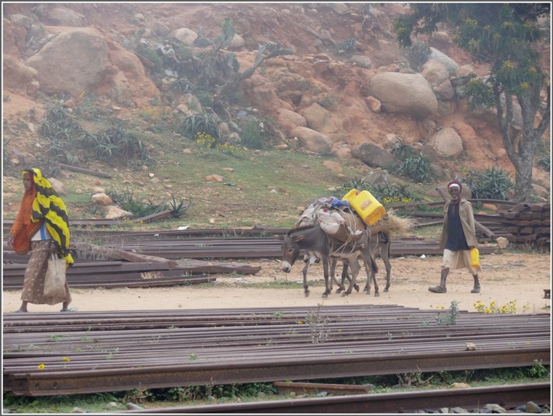 In Nefasit liegen eine Menge Schienen herum. Esel wie Kamele dienen als Transportmittel in einer nur sp�rlich motorisierten Welt. (29.10.2008)