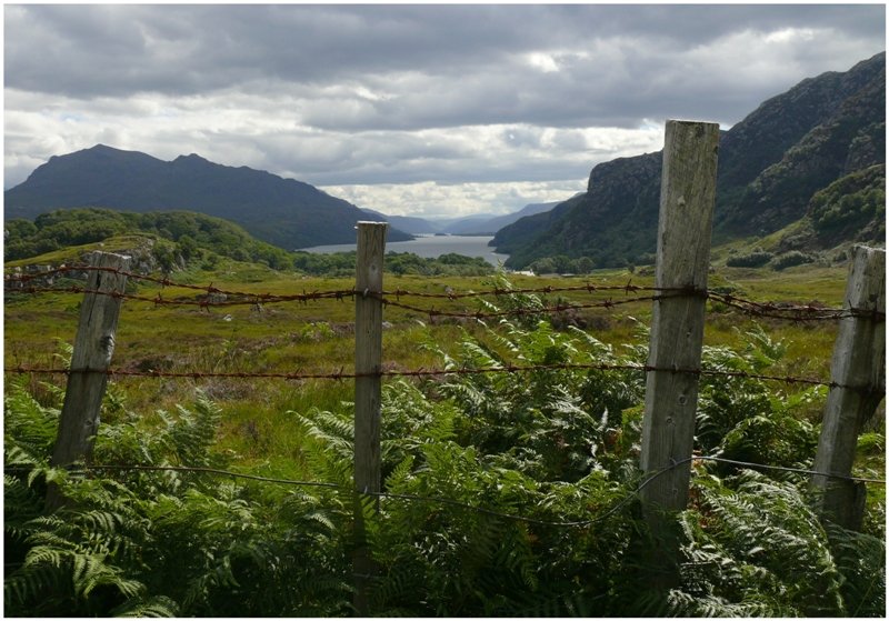 Loch Maree bei Poolewe A832. (06.08.2008)
