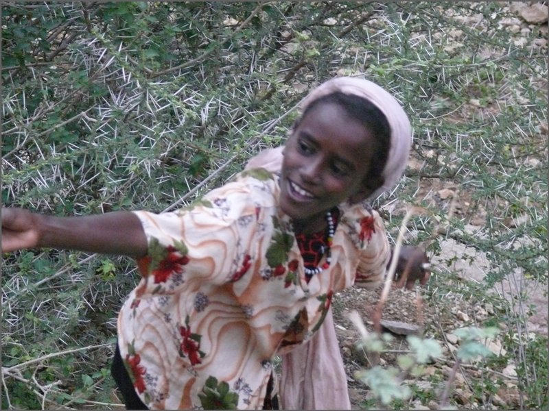 Mitten in der Ghinda-Schlucht erscheint wie aus dem Nichts ein M�dchen das Fatma heisst und �bergl�cklich ist �ber die Nakfa Geldscheine, die sie von den auf den Dampfzug wartenden Fotografen, erh�lt. (30.10.2008)