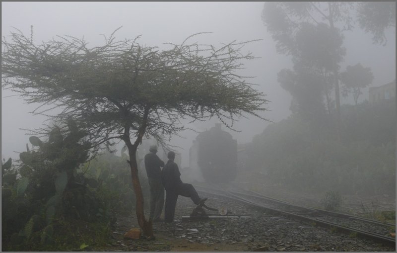 Nebel in Shegerini l�sst alles nur schemenhaft erkennen. (30.10.2008)