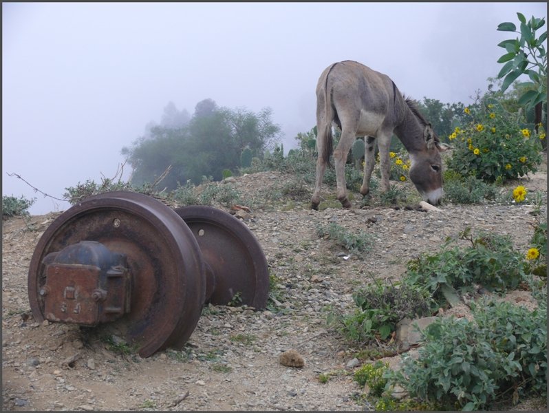 Obwohl eine FS Achse, wurde das Bild in Shegerini/Eritrea aufgenommen. (30.10.2008)