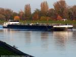 BOLERO VI aufgenommen am 01.11.2014 auf dem Rhein bei Marckolsheim (Frankreich)