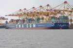 CMA CGM MARCO POLO aufgenommen am 03.08.2013 bei Bremerhaven Hhe Container Terminal Eurogate