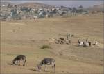 Trockenes Hochland an der Strasse von Asmara Richtung Keren.