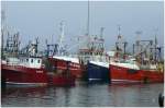 Farbenpr�chtige Fischkutter im Hafen von Mallaig. (09.08.2008)