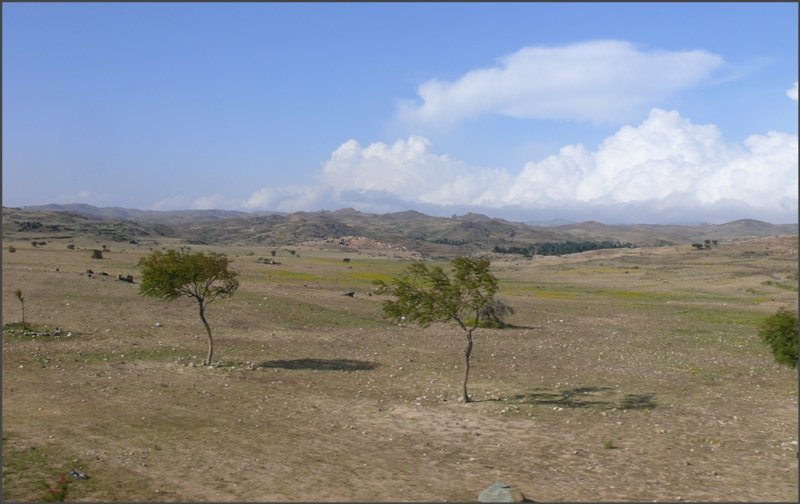 Trockenes Land ausserhalb der Hauptstadt Asmara. (26.10.2008)